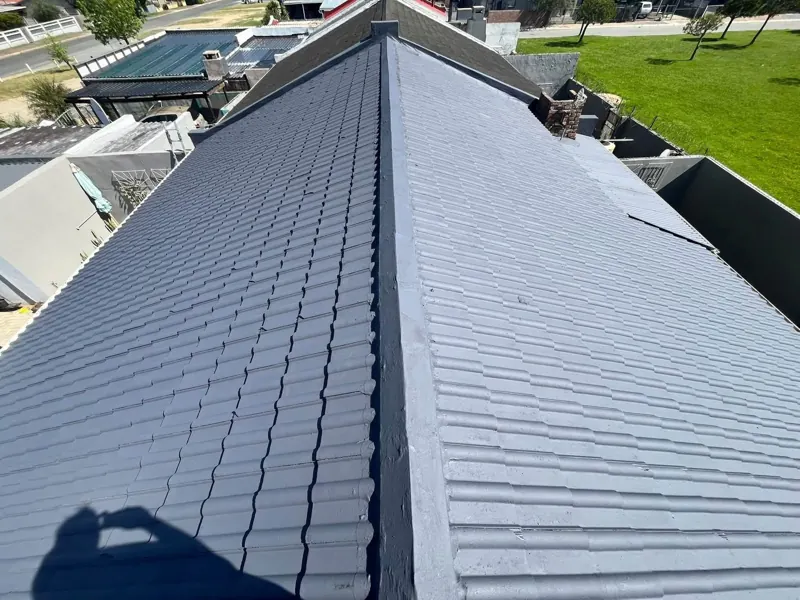 Tile roof after cleaning and painting